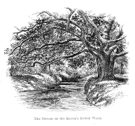 El Arroyo en el Bosque de Queens Bower